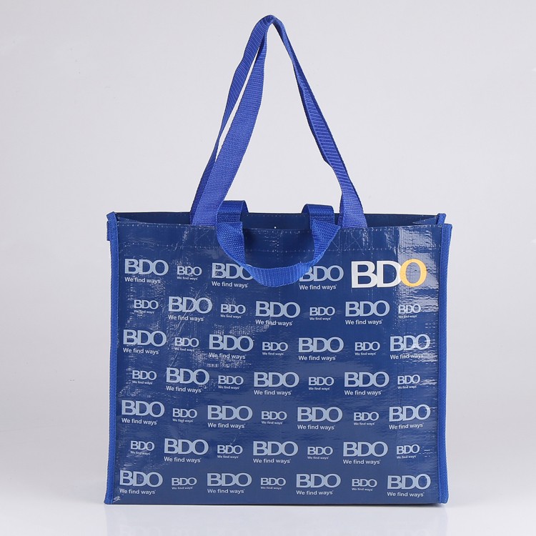 Double handle and strong pp woven eco shopping bag reusable with piping return